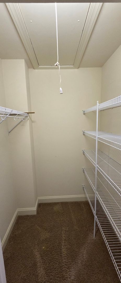 Building Photo - Beautiful Home with a full in law suite in Lewisville