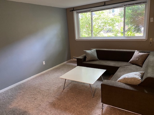 Living Room with Brand new Carpet and Large Picture Window - 2112 Garfield Ave