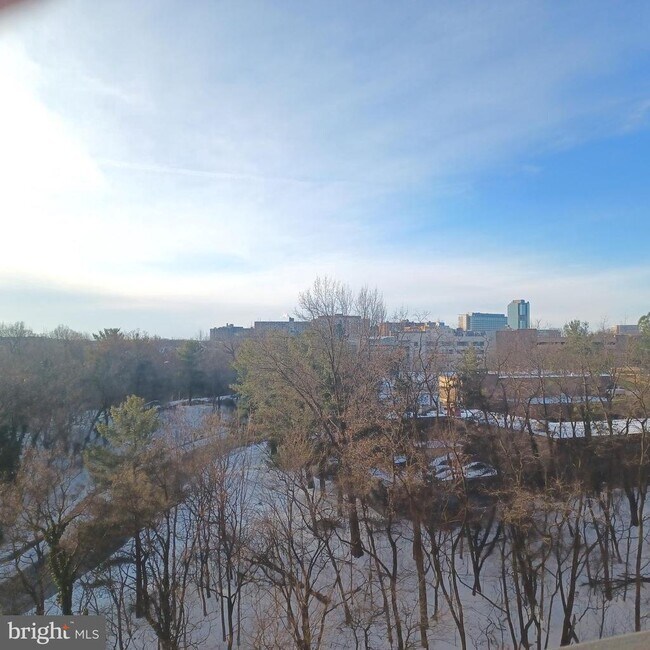 Building Photo - 3705 S George Mason Dr