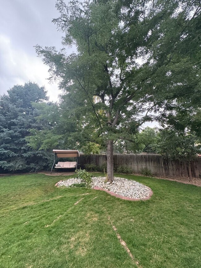 Building Photo - Beautiful Single Family Living In South Su...