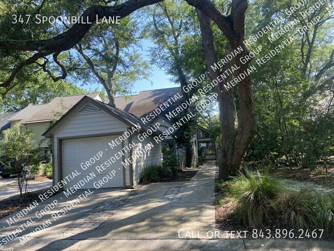 Primary Photo - 347 Spoonbill Ln