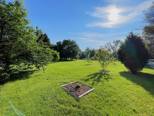 Building Photo - 13209 Lantern Hollow Dr