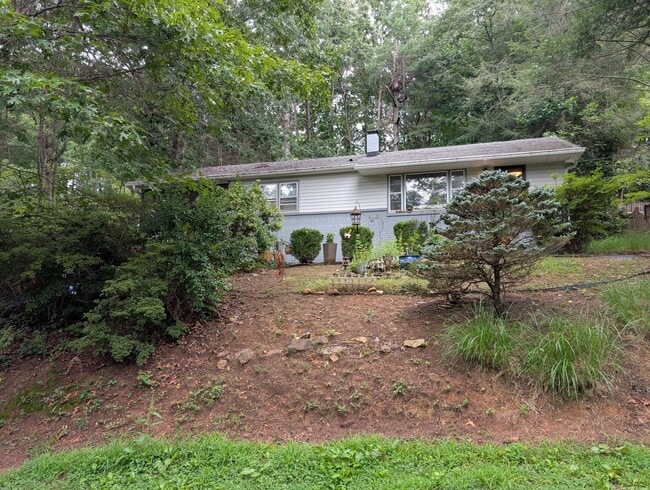 Building Photo - Black Mountain Rental!