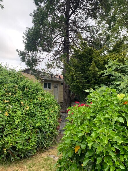 Building Photo - 415 Laurent St