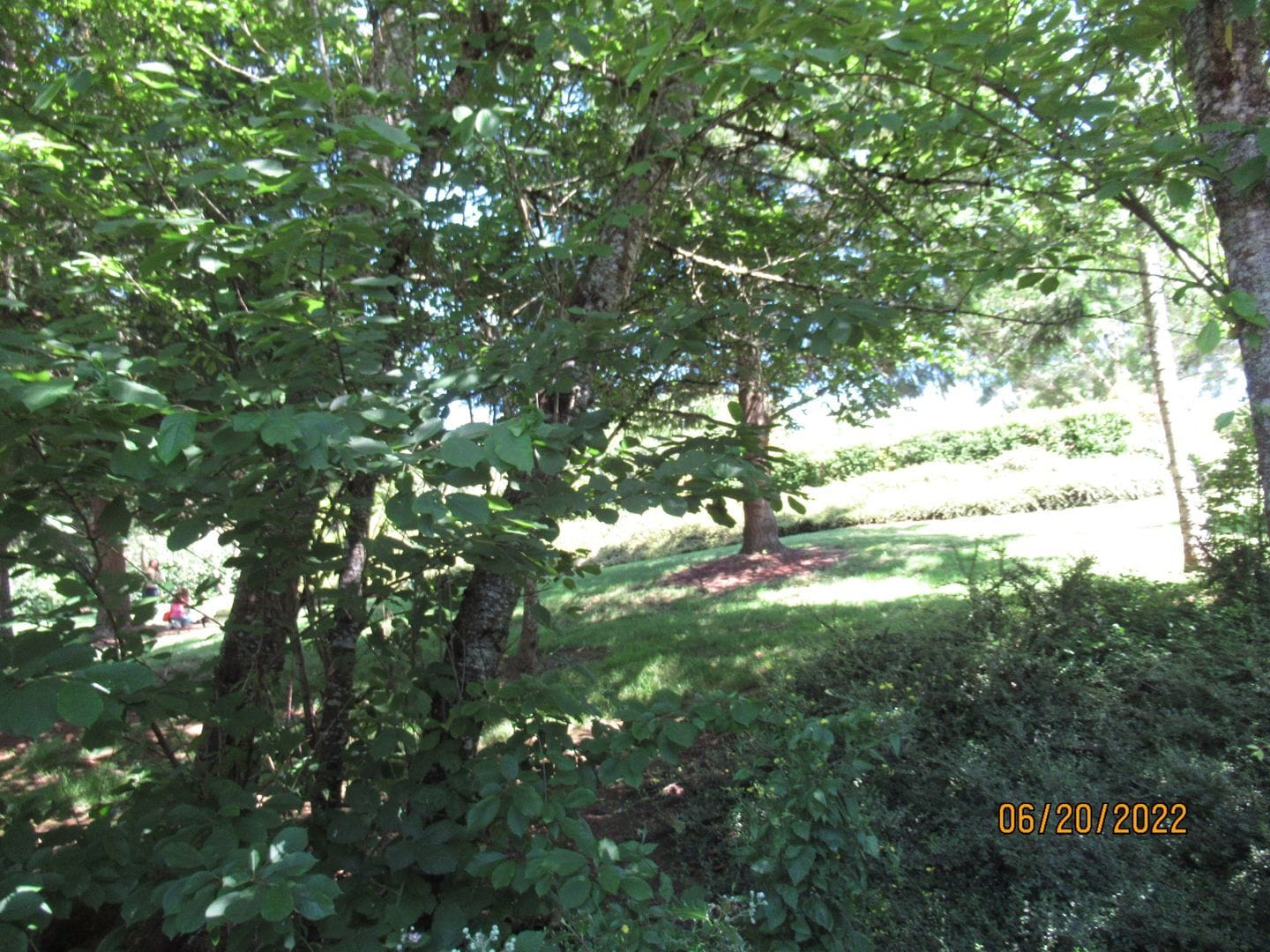 Building Photo - 15808 SW Division St