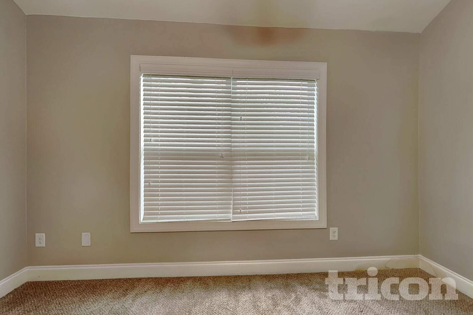 Building Photo - 3923 Griese Ln