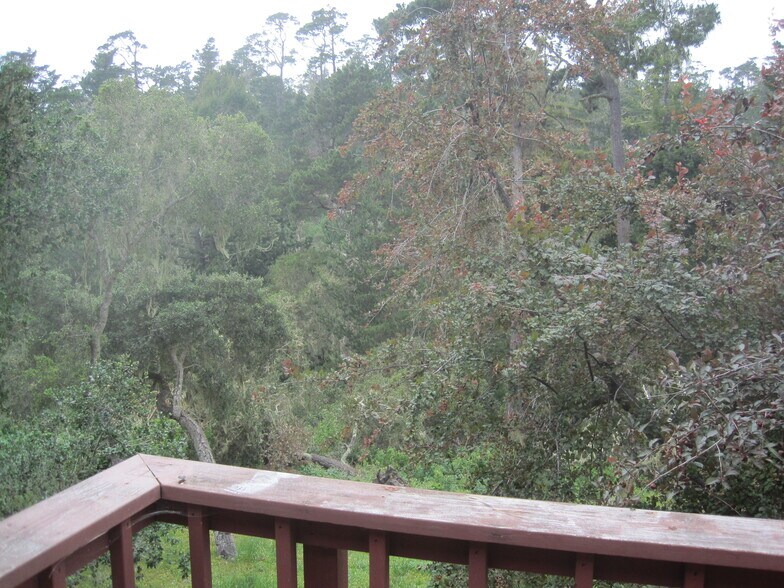 Building Photo - 24656 Pescadero Rd