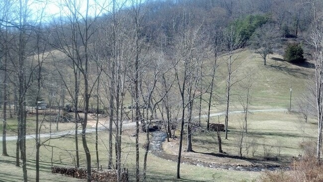 Building Photo - 2 Bedroom 1 Bath Home on E Fork off 441 S....