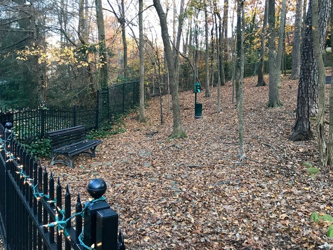 Dog Park - 4246 River Green Dr NW