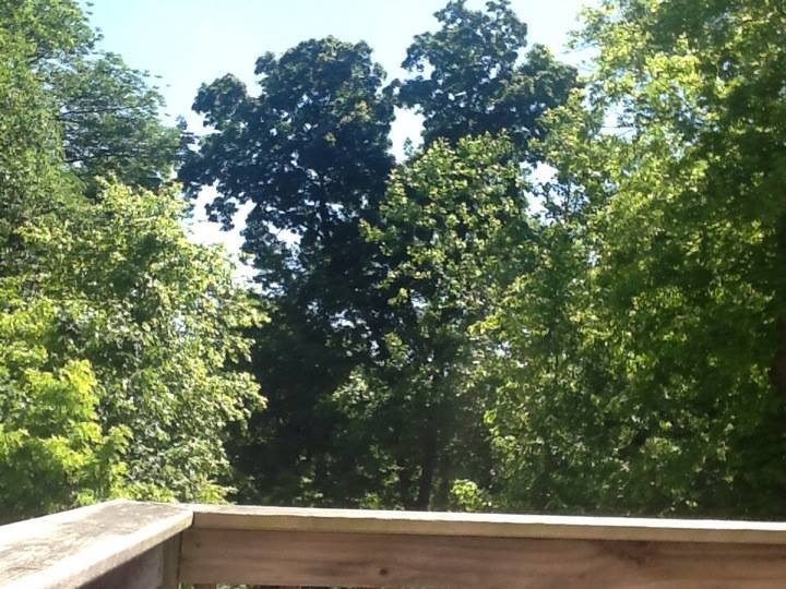 Building Photo - 1437 Glenside Grn