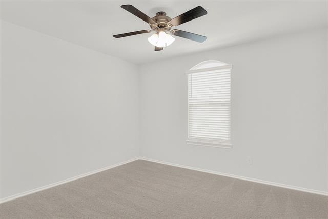 Building Photo - 1717 Wayne Ln