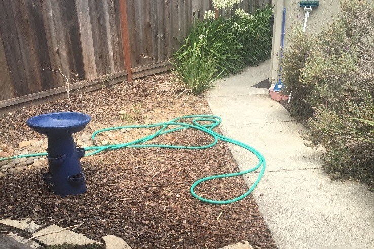 Front yard. Enclosed and private. - 419 Sailfish Dr