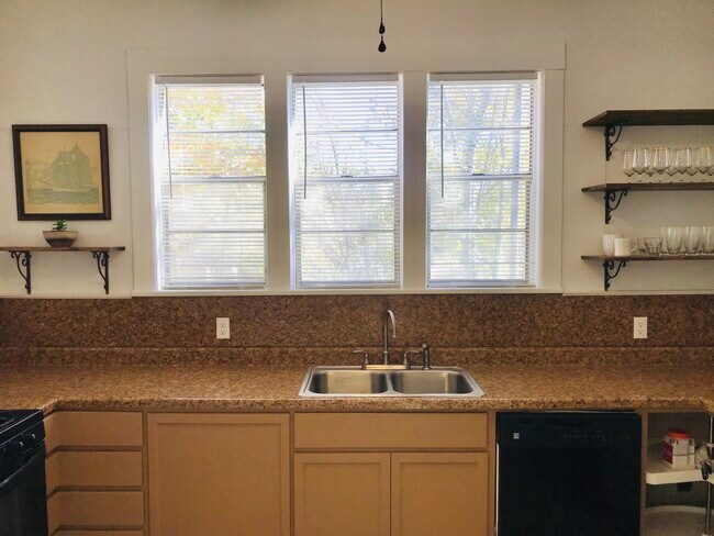 Kitchen - 903 Ward St