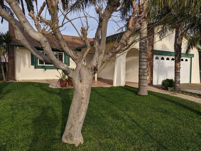 Building Photo - 908 Labrador Way
