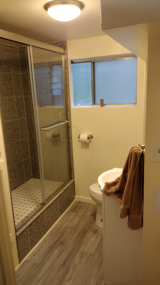 All new downstairs full bath - 23204 64th Ave W