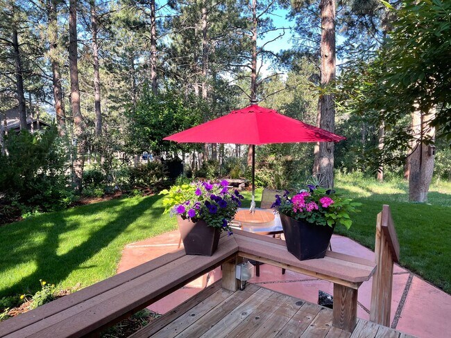 Building Photo - Warm & Spacious Woodmoor Home in a Fantast...