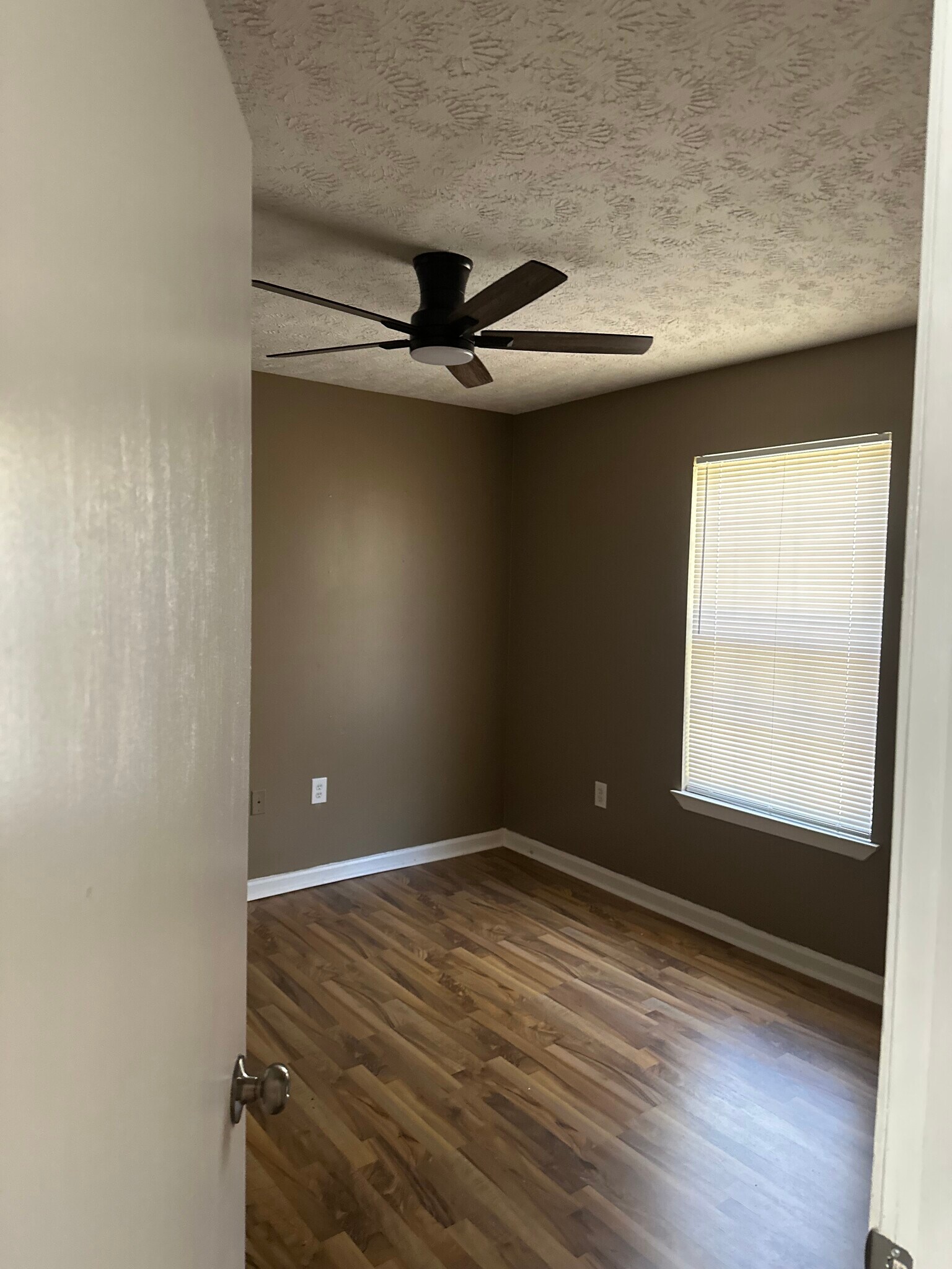 Building Photo - 511 Mansion St