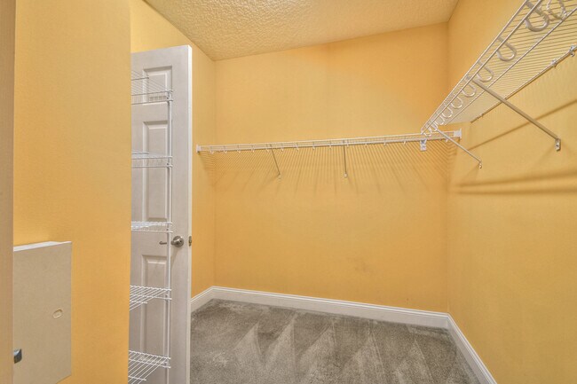 Building Photo - 3521 Carolwood Ln