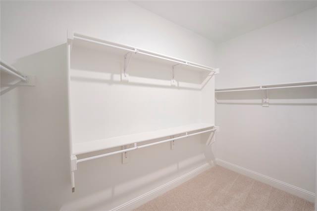 Building Photo - 4116 Limestone Blf Dr