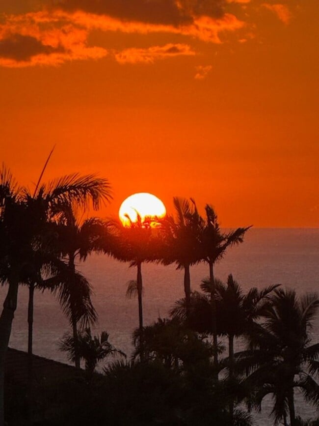 Building Photo - Live the Wailea Lifestyle – Ocean View gro...
