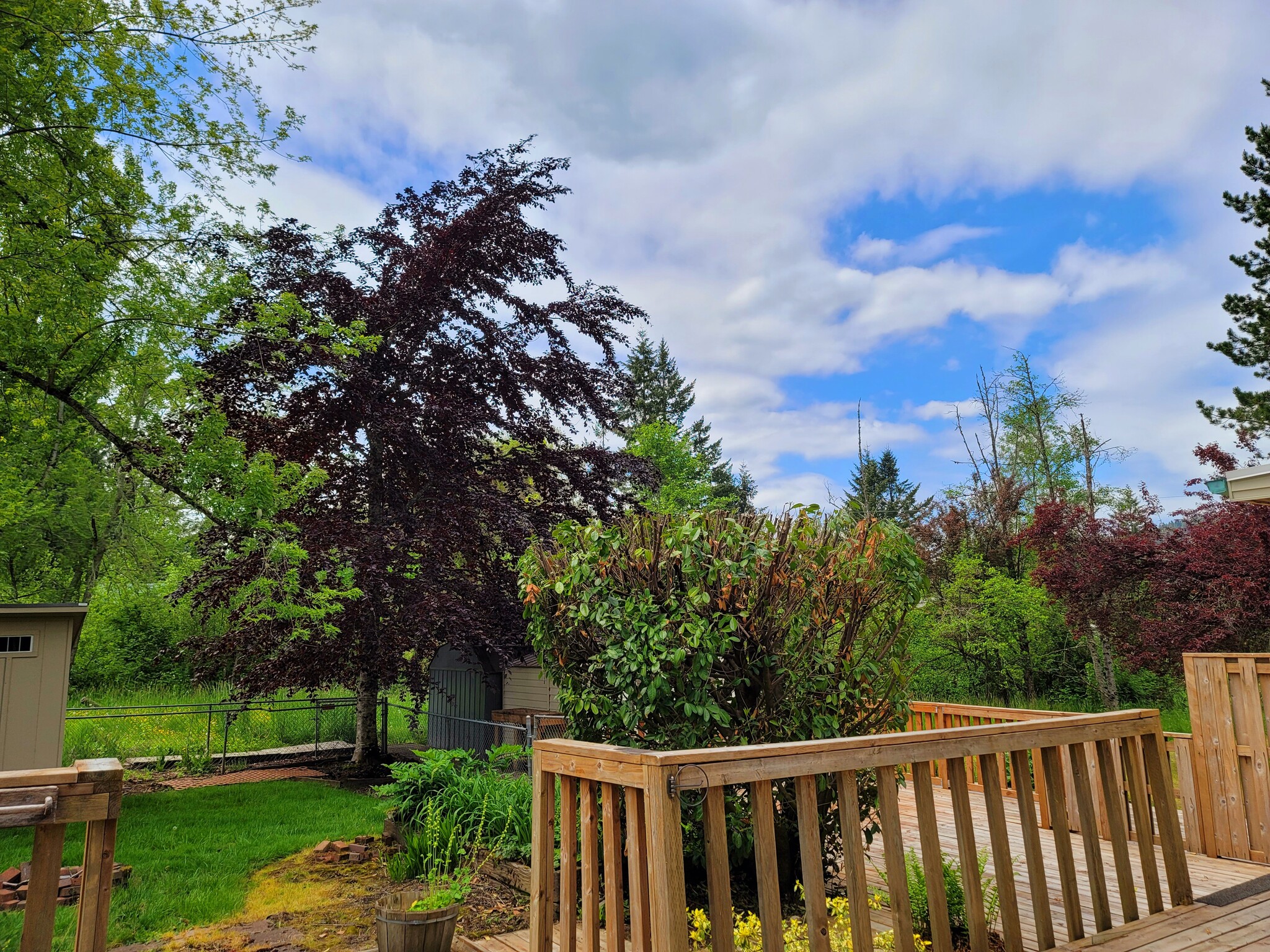 Building Photo - 11071 SE 242nd Ave