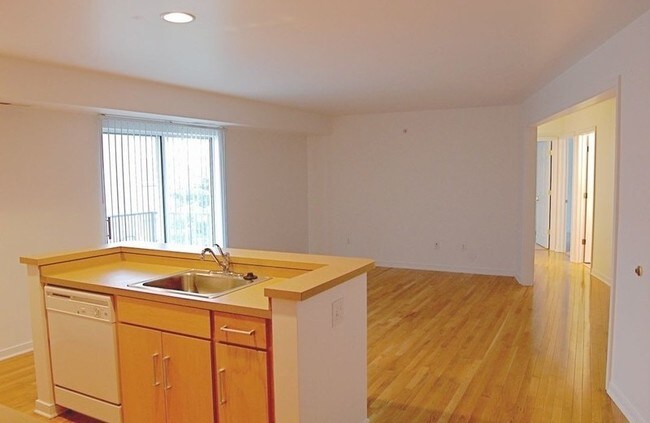 Interior Photo - The Wedge