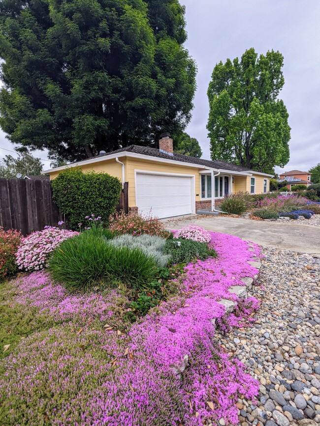 Building Photo - 1001 Princess Anne Drive CA 95128
