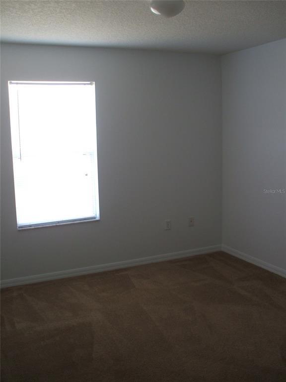 Building Photo - 2872 Paynes Prairie Cir