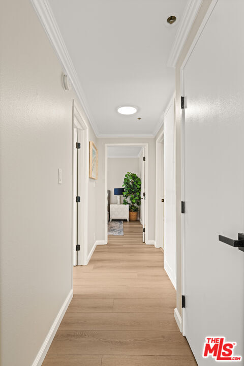 Building Photo - 457 Coast Blvd