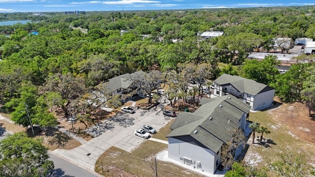 Building Photo - The Oaks at Safety Harbor 3 bedroom 2 bath