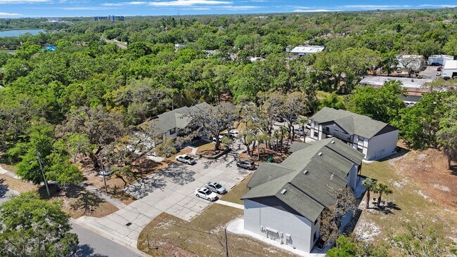 Building Photo - The Oaks at Safety Harbor 3 bedroom 2 bath **WEEKEND ONLY SPECIAL $500 OFF MOVE IN COST****