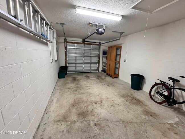 Building Photo - 1419 Coconut Palm Cir