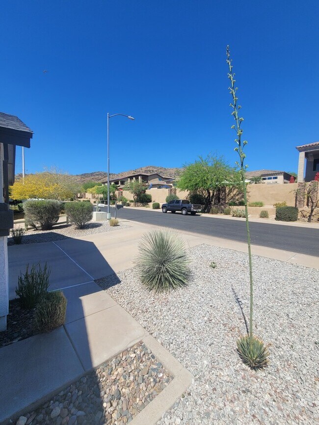 Building Photo - Gorgeous 3/2 in the foothills for rent!