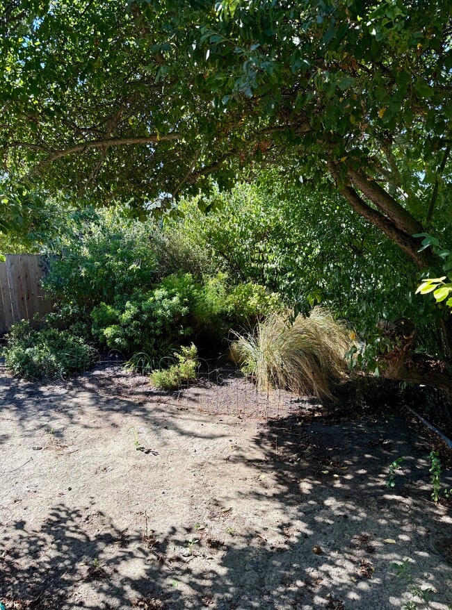 Building Photo - 4273 Santa Rita Rd