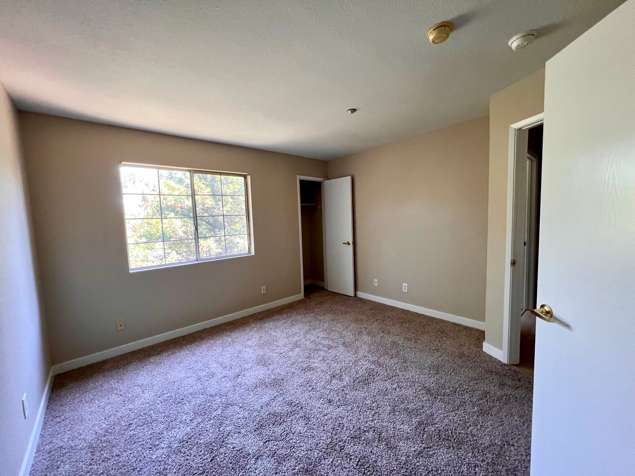 Master Bedroom - 2001 Eastwood Dr