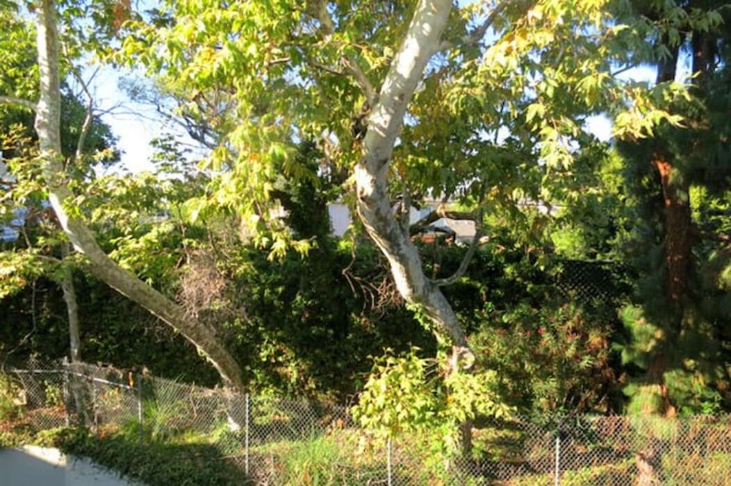 Building Photo - 4900 Overland Ave