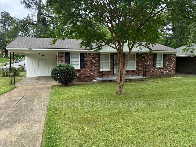 Primary Photo - 3602 Donna Dr