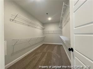 Building Photo - 5841 Dottie Cir