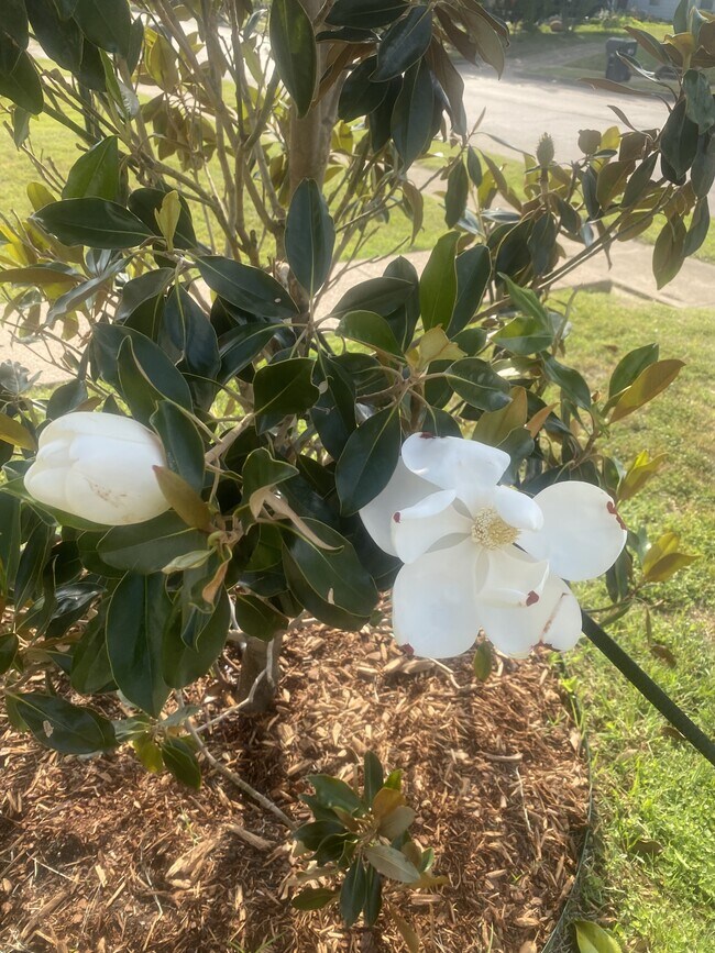 Building Photo - 2609 Herring Ave