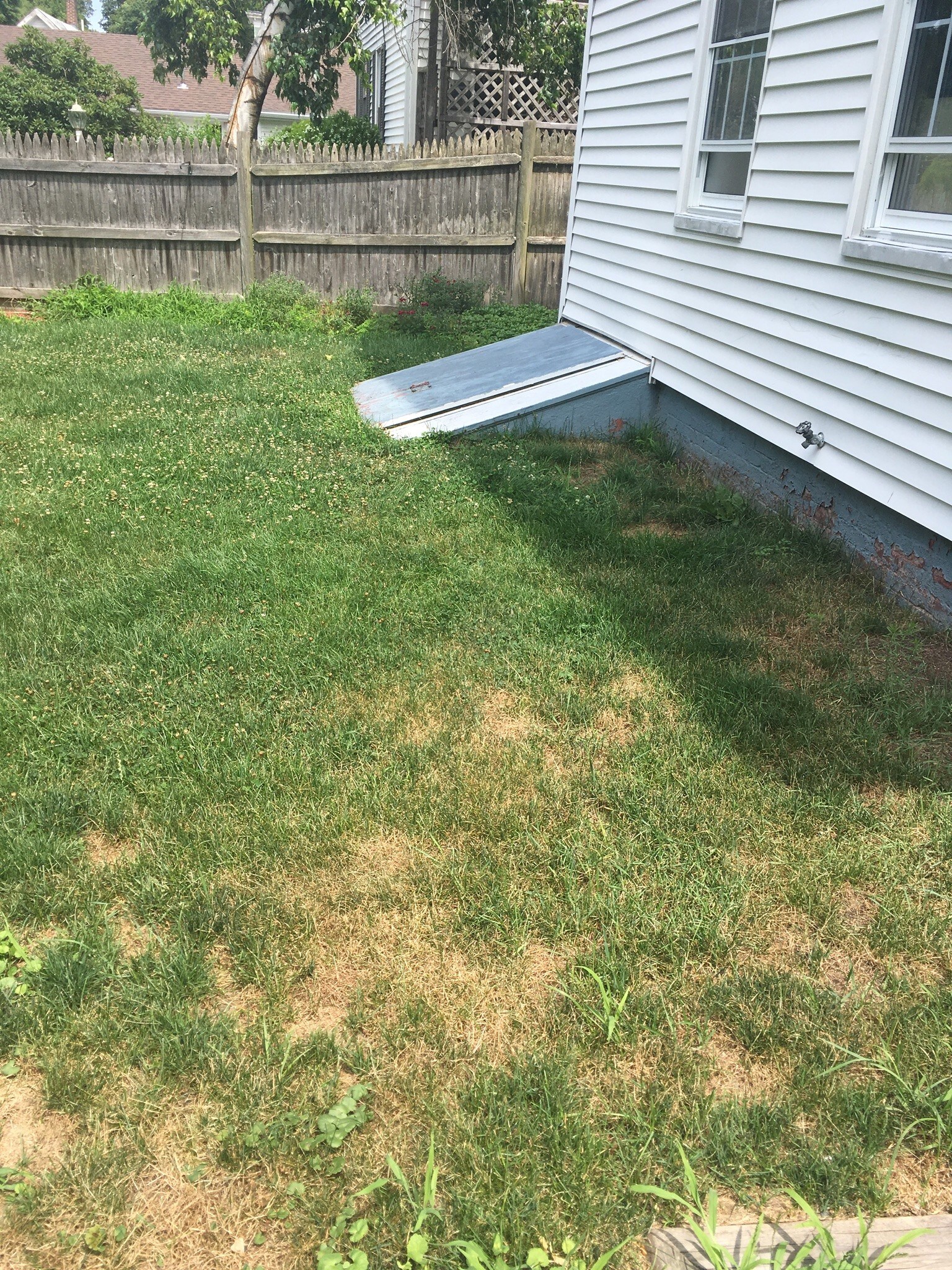 Back yard - 31 Blaine St