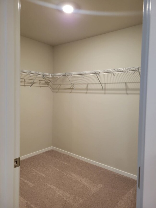 Building Photo - Beautiful, brand new 4 bedroom for Rent Now!