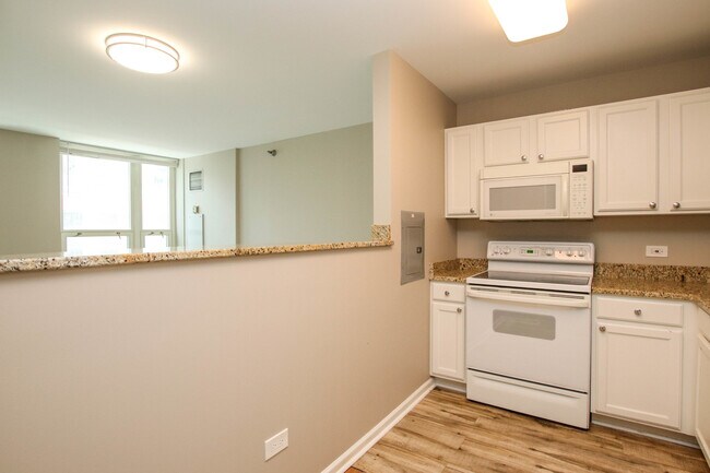 Building Photo - 345 N La Salle Dr