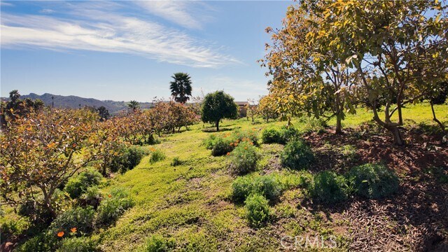 Building Photo - 31418 Cll De Talar