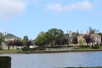 Building Photo - Belmont Hills Sanctuary: 3 En-Suite Suites Behind Oracle & Farallon Park