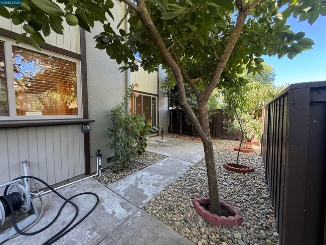 Building Photo - 1564 Candelero Dr