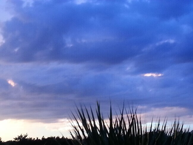 Building Photo - Vero Beach Rentals. Vero Beach Homes For Rent. Vero Beach Rent, LLC and Property Management Company