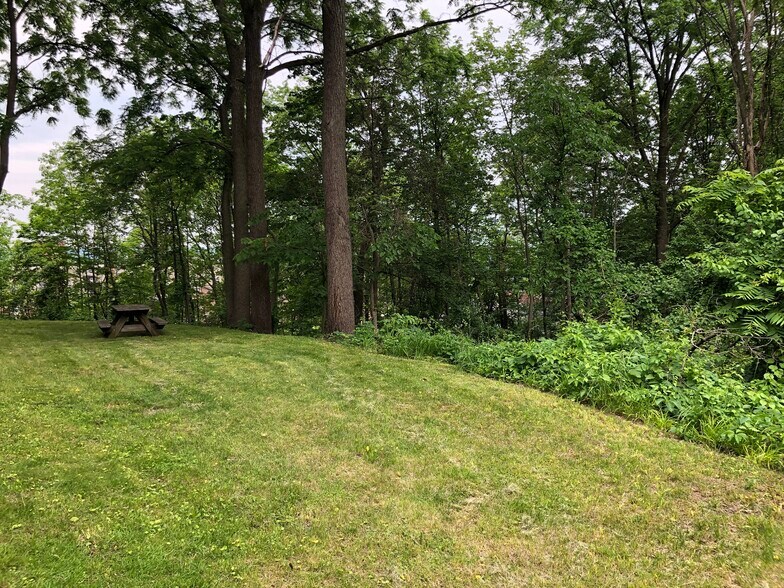 Side yard with woods - 240 11th St