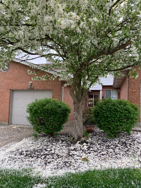 Building Photo - 6752 Ashley Ct