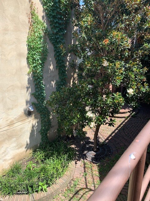 Veiw of court yard - 1047 S Charles St