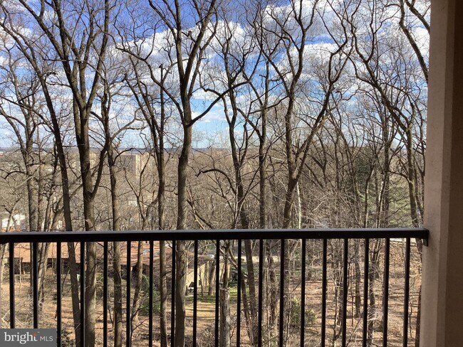 Building Photo - 5901 Mt Eagle Dr